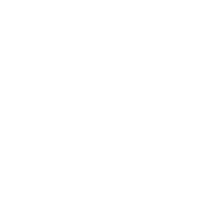 総力戦